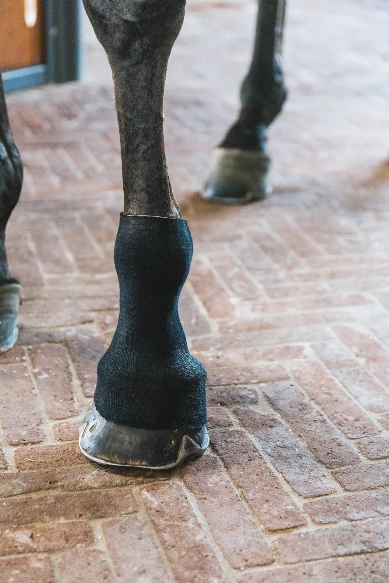 Kentucky Tendon Grip Gel Sock in Black-5