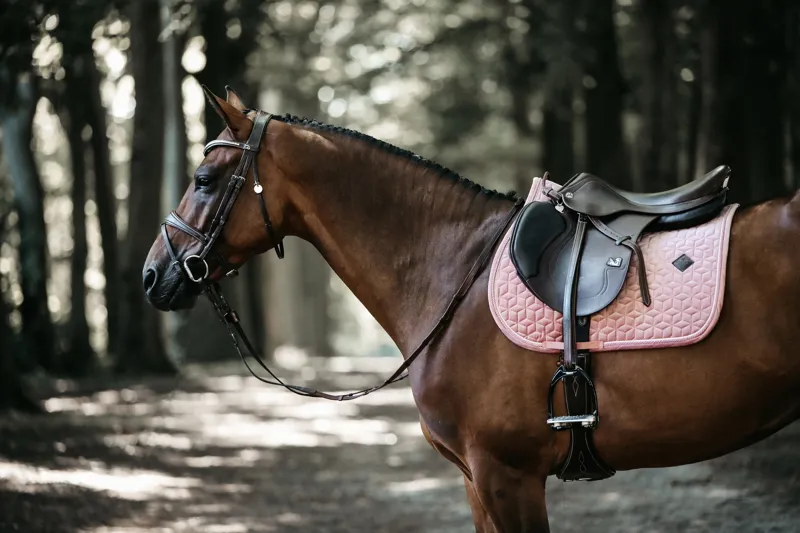 Kentucky Velvet Jumping Saddle Pad in Old Rose-4