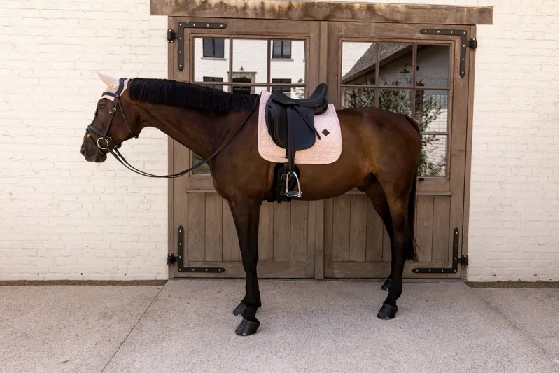Kentucky Velvet Dressage Pad in Old Rose-6