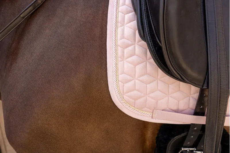 Kentucky Velvet Dressage Pad in Old Rose-2