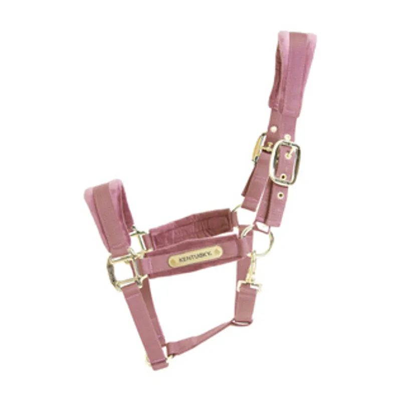 Kentucky Velvet Headcollar in Old Rose