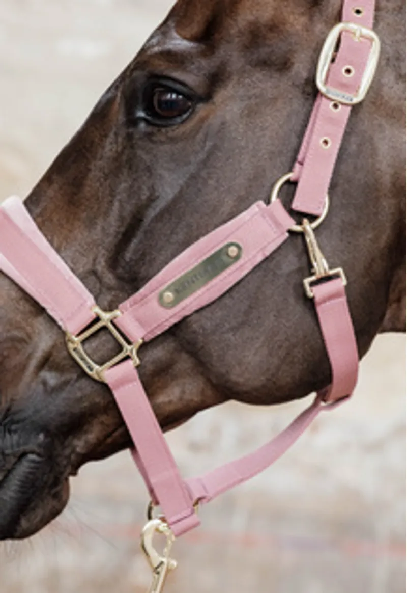 Kentucky Velvet Headcollar in Old Rose-2