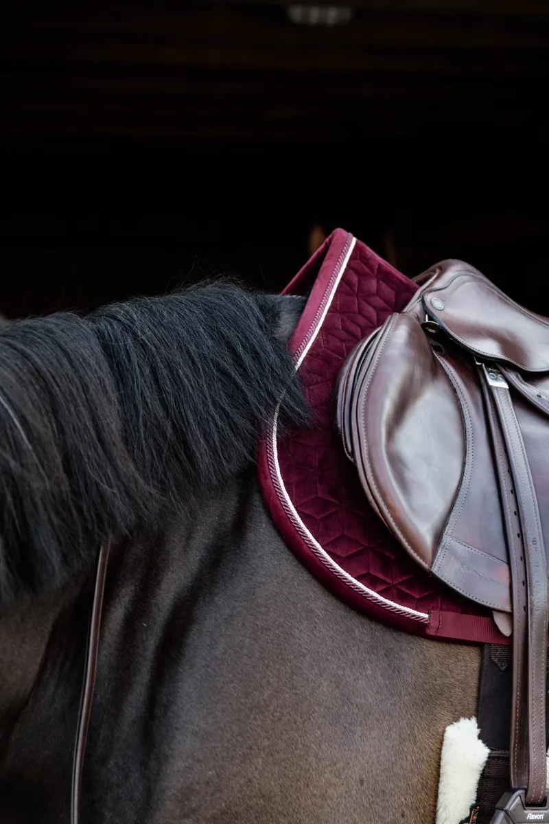 Kentucky Velvet Jumping Saddle Pad in Bordeaux-7