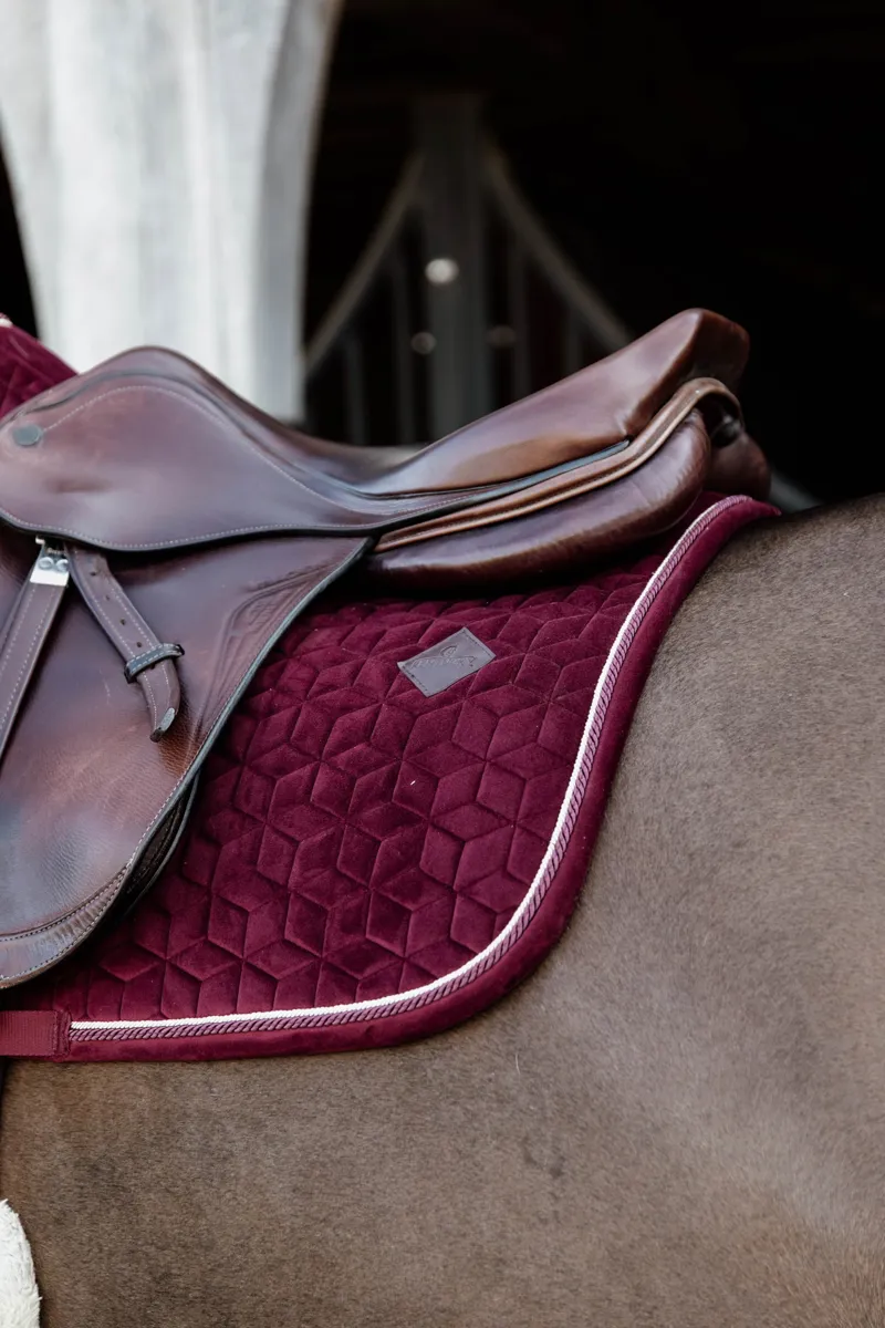 Kentucky Velvet Jumping Saddle Pad in Bordeaux-4