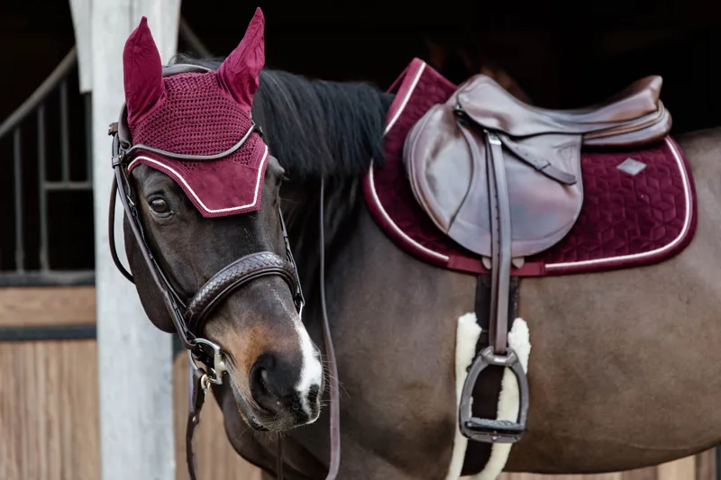 Kentucky Velvet Jumping Saddle Pad in Bordeaux-3