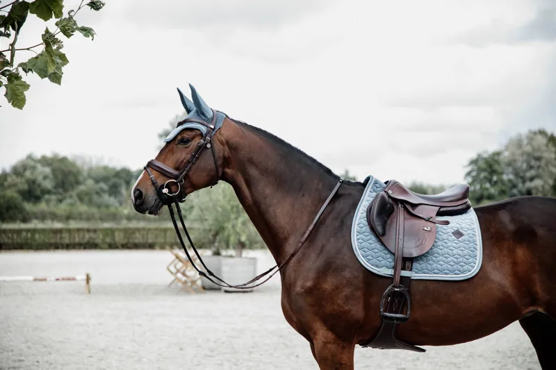Kentucky Horsewear Velvet Jumping Saddle Pad in Light Blue-3