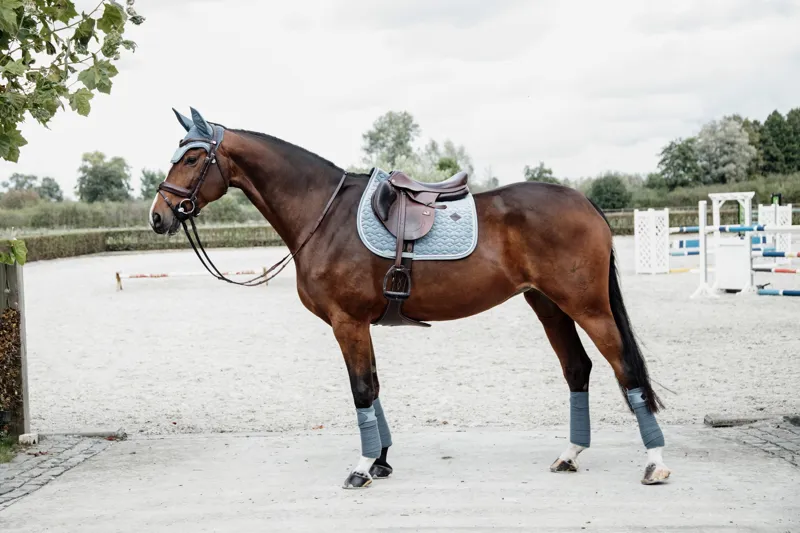 Kentucky Horsewear Velvet Jumping Saddle Pad in Light Blue-4