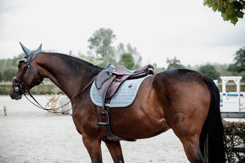 Kentucky Horsewear Velvet Jumping Saddle Pad in Light Blue-5