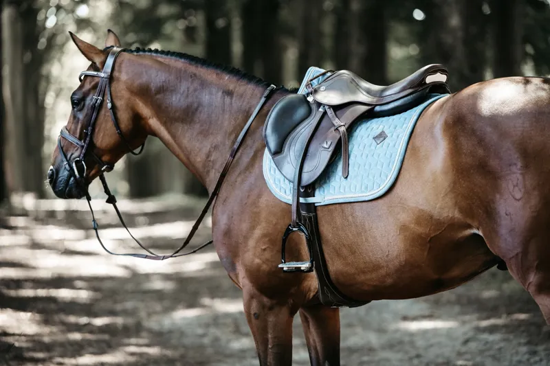 Kentucky Horsewear Velvet Jumping Saddle Pad in Light Blue-8