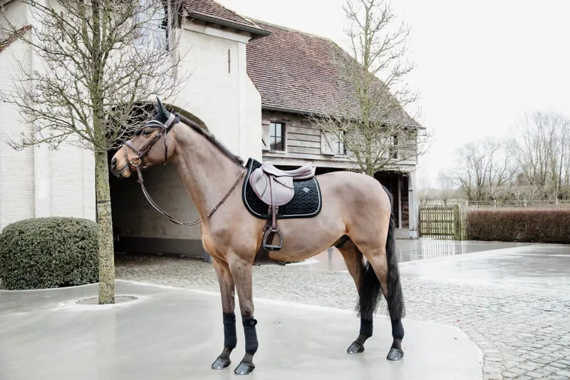 Kentucky Basic Velvet Jumping Saddle Pad in Black-3
