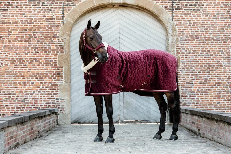 Kentucky Show Rug Velvet in Bordeaux-2