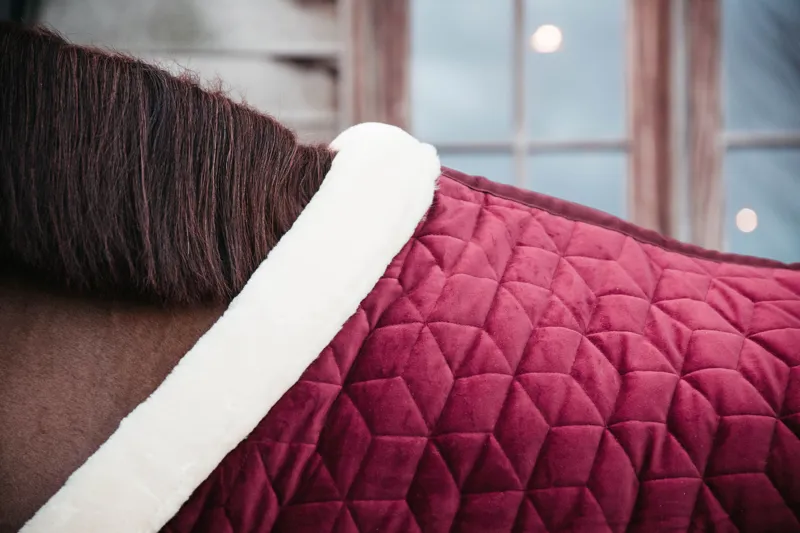 Kentucky Show Rug Velvet in Bordeaux-3