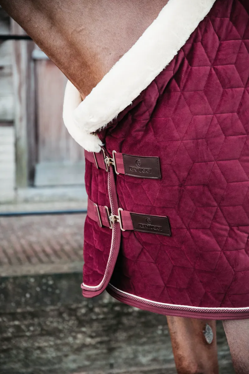 Kentucky Show Rug Velvet in Bordeaux-4