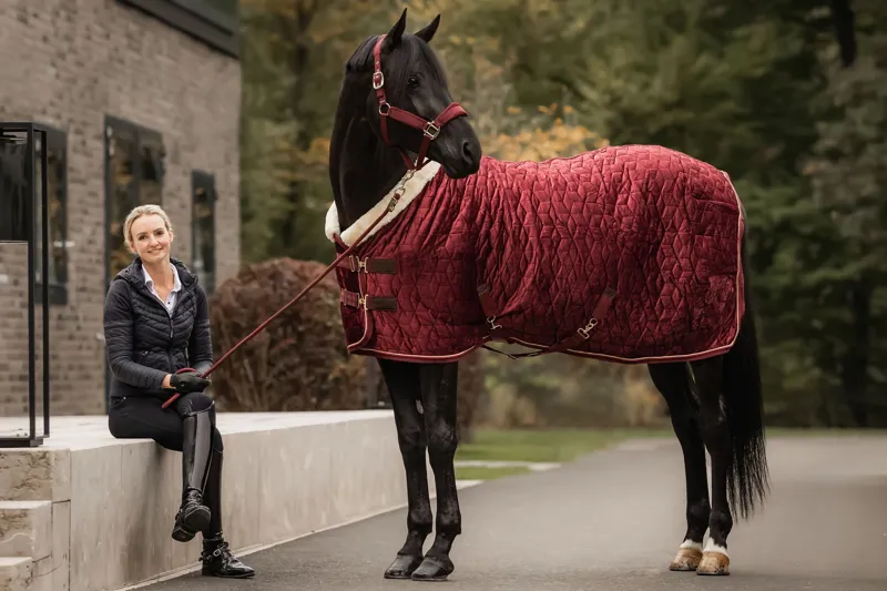 Kentucky Show Rug Velvet in Bordeaux-6