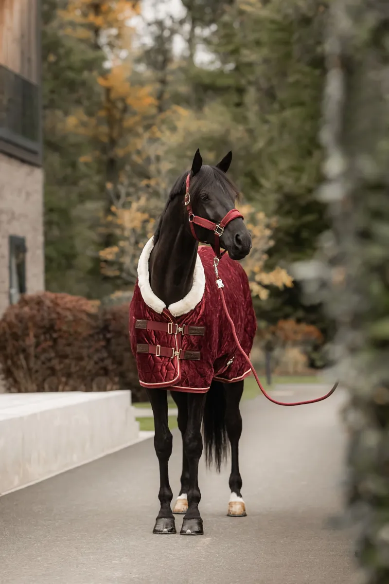 Kentucky Show Rug Velvet in Bordeaux-7