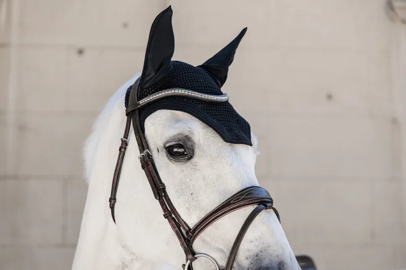 Kentucky Wellington Fly Veil in Black-1