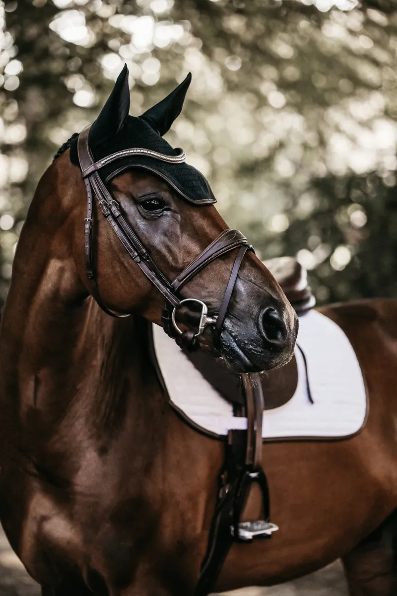 Kentucky Leather Wellington Fly Veil in Black-1