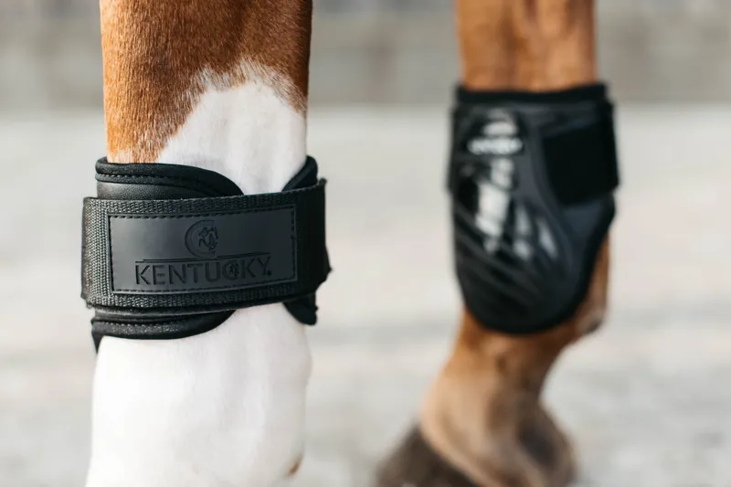 Kentucky Young Horse Fetlock Boots in Black-6