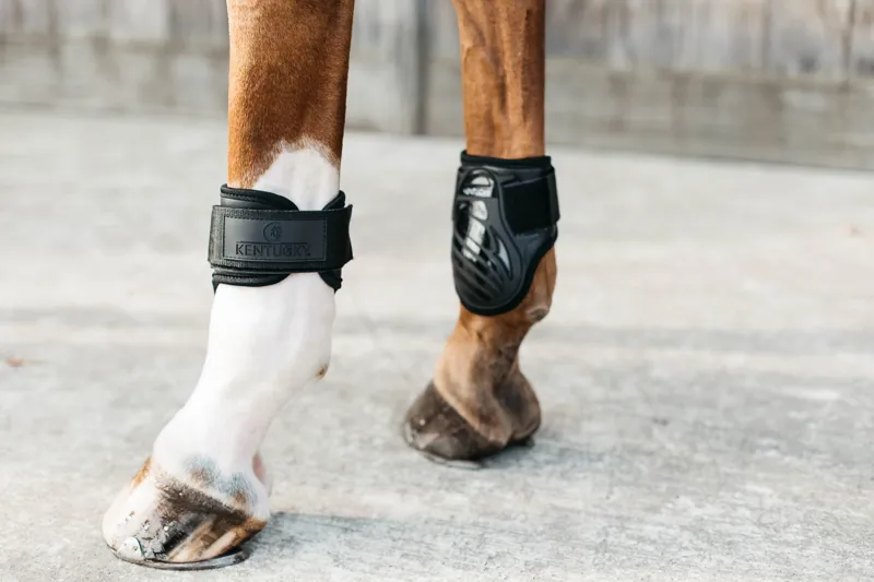 Kentucky Young Horse Fetlock Boots in Black-7