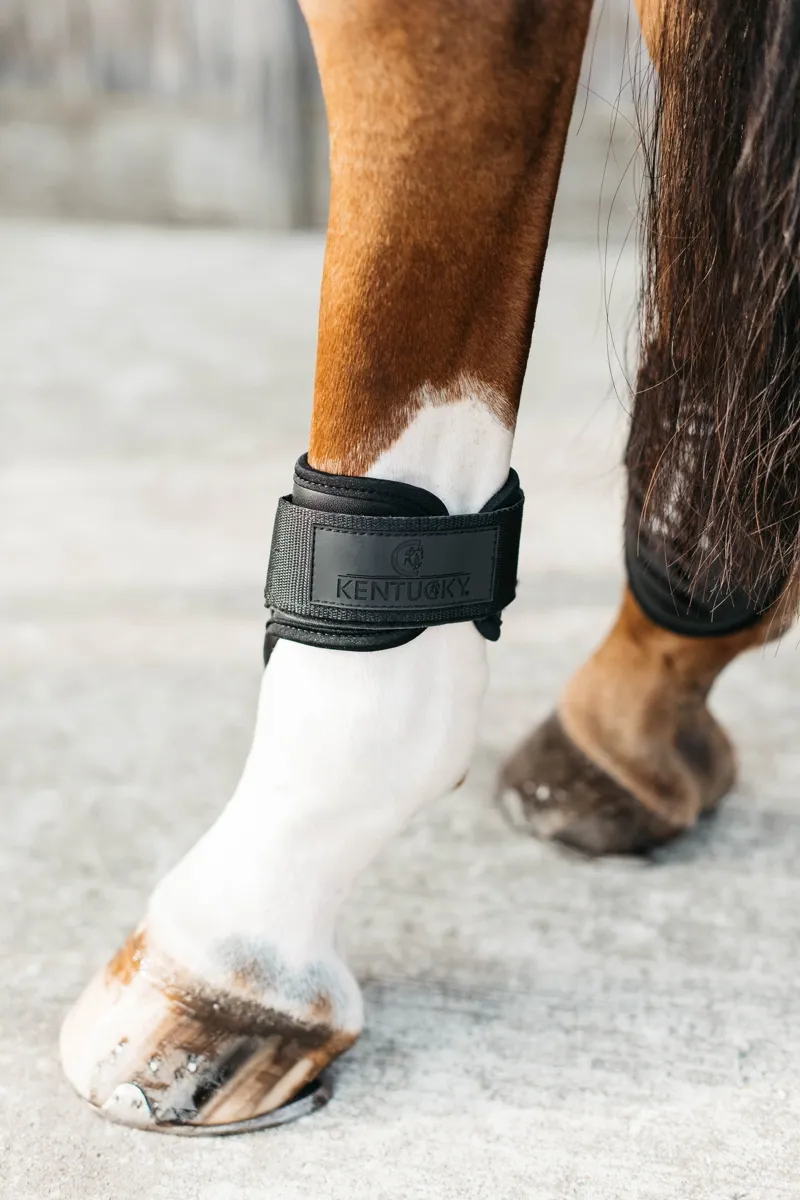 Kentucky Young Horse Fetlock Boots in Black-8