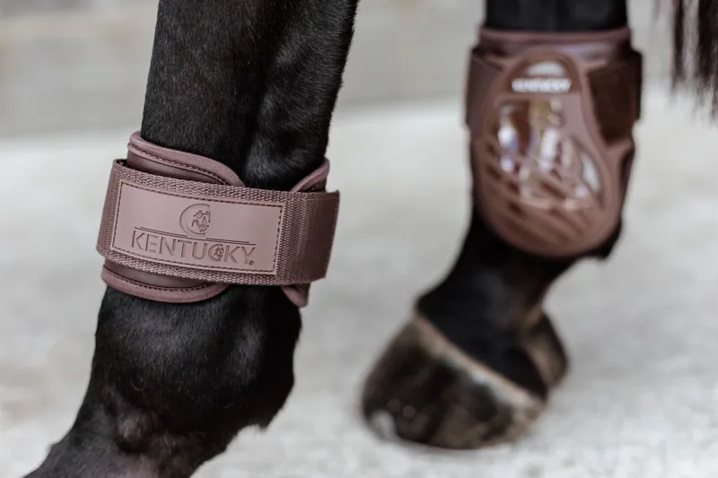 Kentucky Young Horse Fetlock Boots in Brown-6