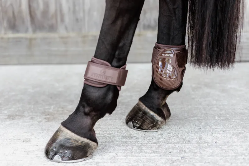 Kentucky Young Horse Fetlock Boots in Brown-9