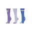 Dublin 3 Pack of Socks Childs in Koala