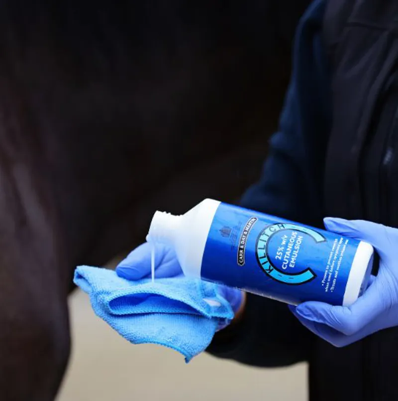 Carr and Day and Martin Killitch-1