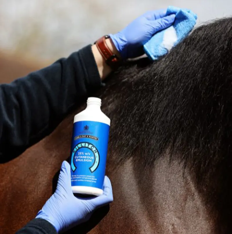 Carr and Day and Martin Killitch-2