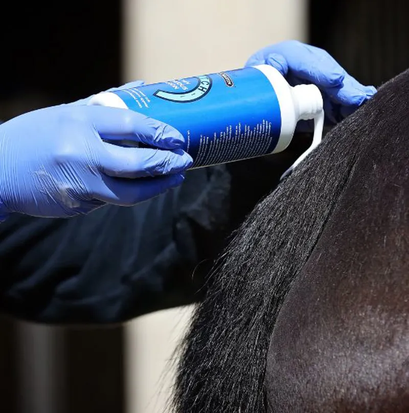 Carr and Day and Martin Killitch-3