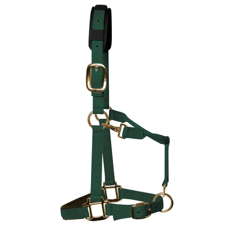 KM Elite Headcollar in Green