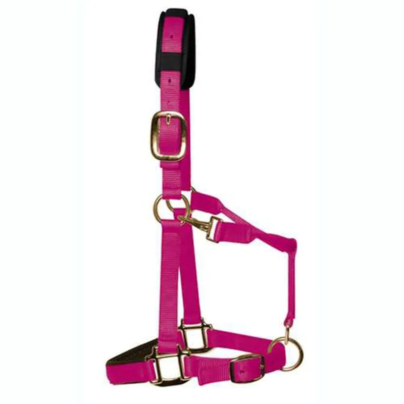 KM Elite Headcollar in Raspberry