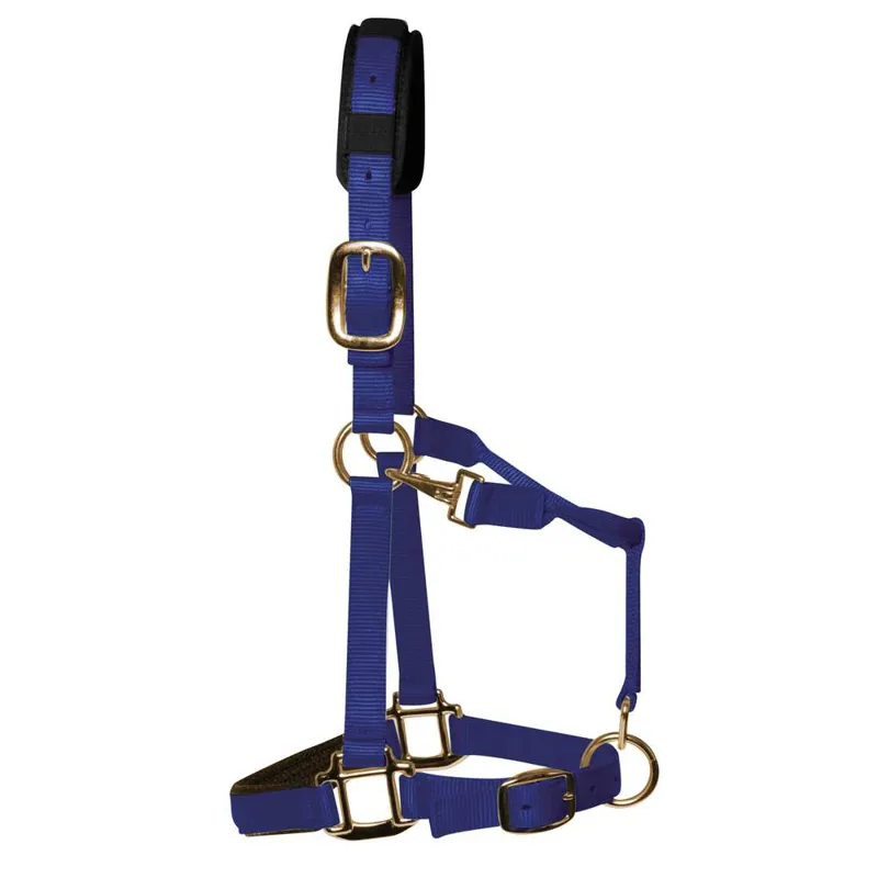 KM Elite Headcollar in Royal Blue