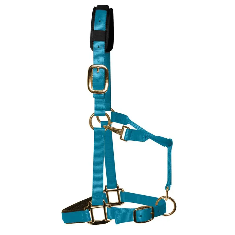 KM Elite Headcollar in Turquoise