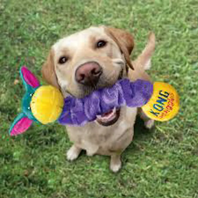 KONG Squiggles - WEB EXCLUSIVE-2