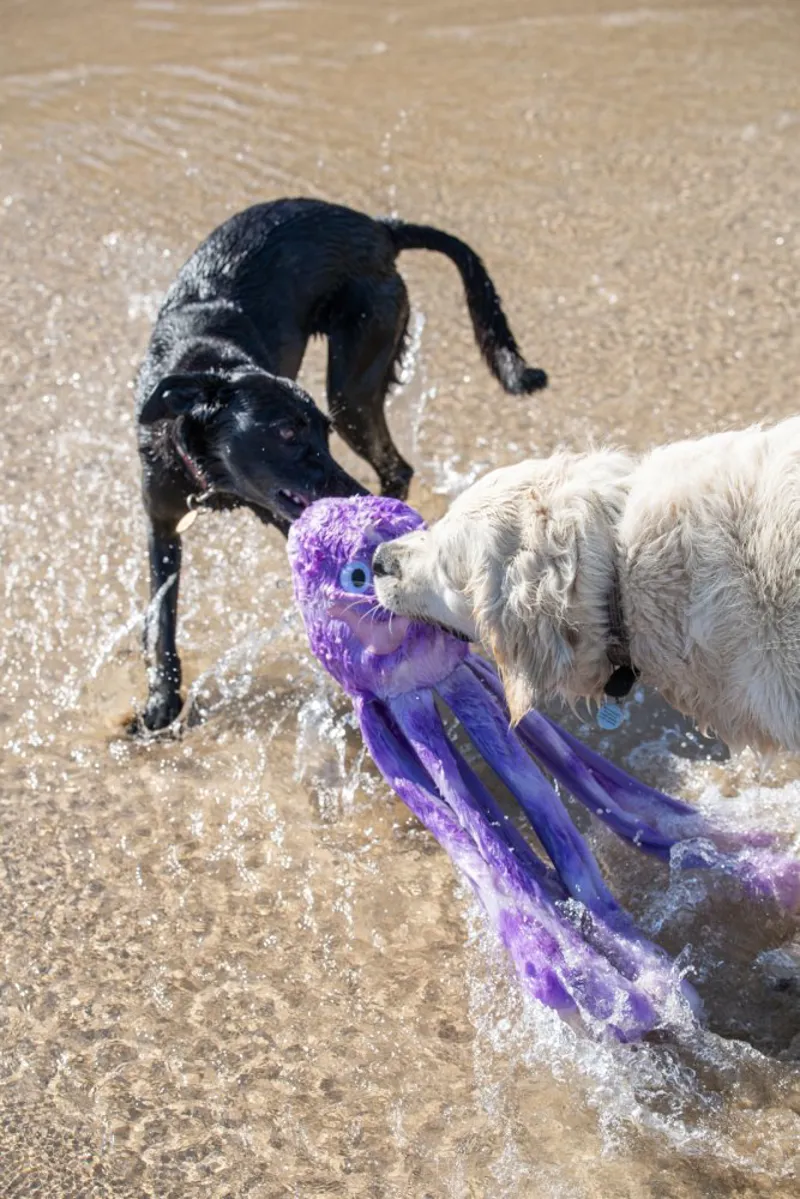 Petface Orla Octopus Dog Toy in Large-6