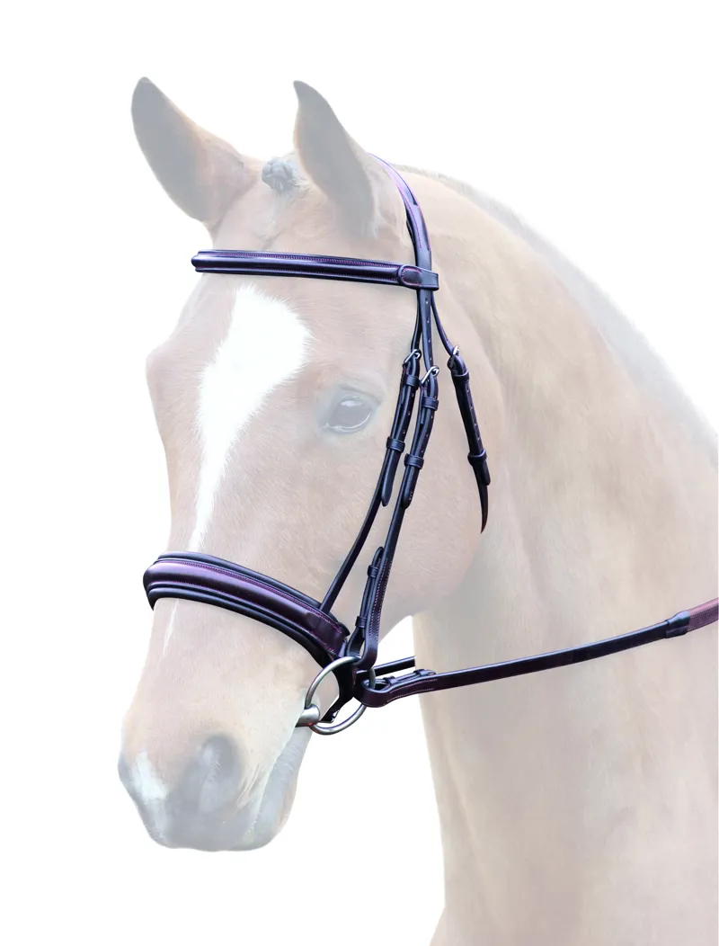 Bridleway Lavello Padded Cavesson Bridle Black or Brown
