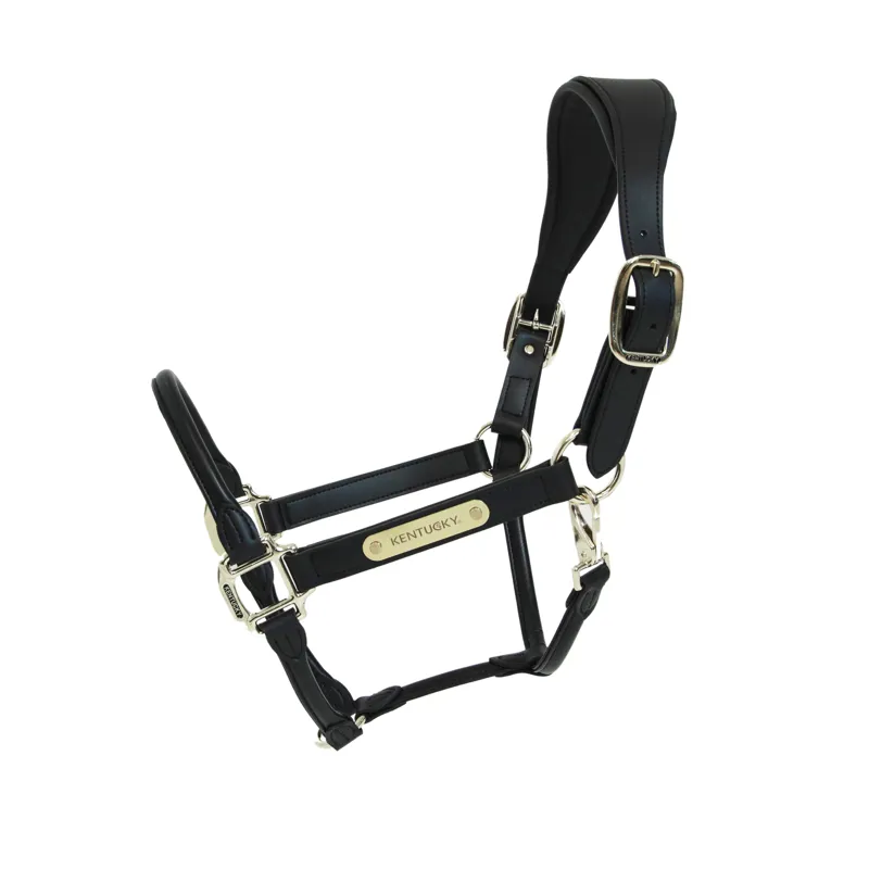 Kentucky Anatomic Faux Leather Headcollar in Black