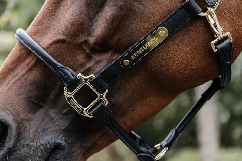 Kentucky Anatomic Faux Leather Headcollar in Black-2