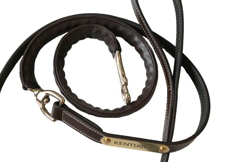 Kentucky Faux Leather Covered Chain Lead in Brown