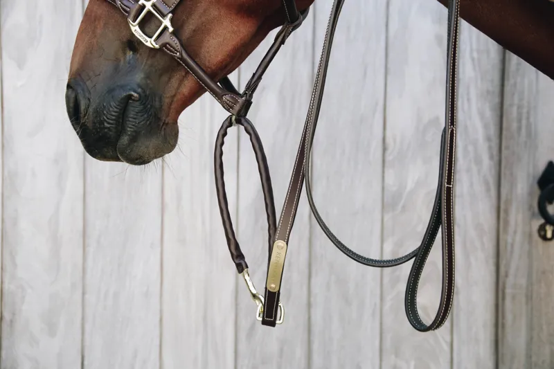 Kentucky Faux Leather Covered Chain Lead in Brown-1