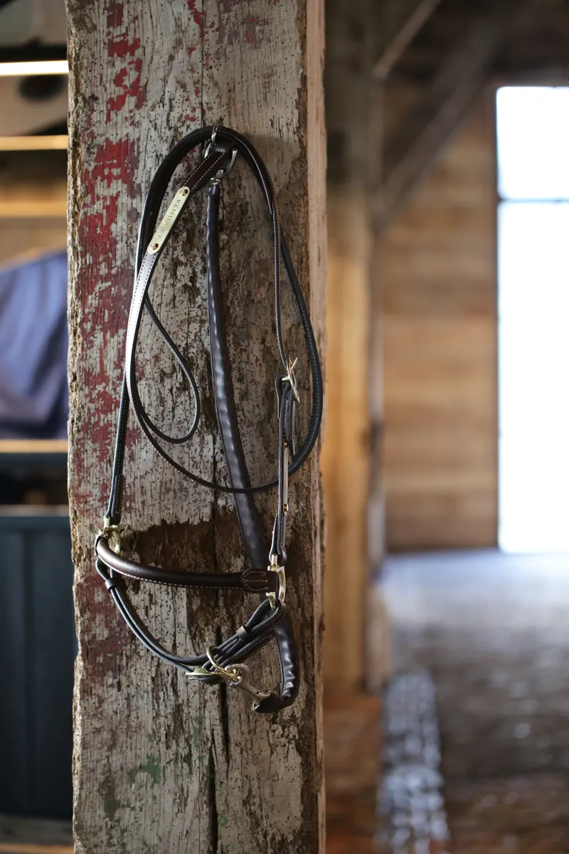 Kentucky Faux Leather Covered Chain Lead in Brown-2