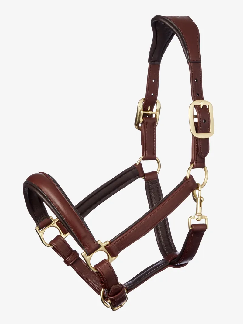 LeMieux Anatomic Headcollar in Brown