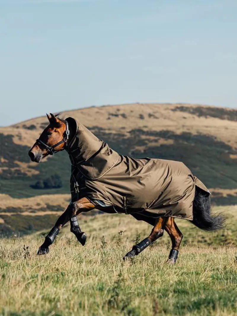LeMieux Arika Ripstop 0g Turnout Rug in Alpine-2