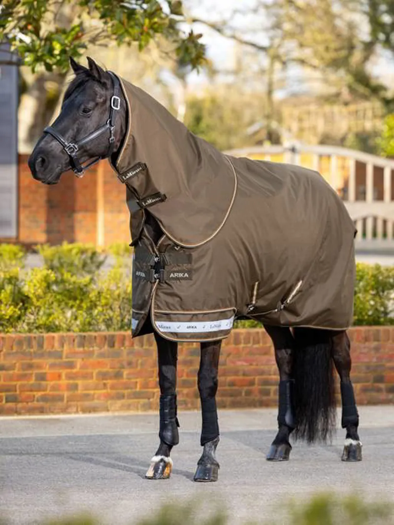 LeMieux Arika Ripstop 0g Turnout Rug in Alpine