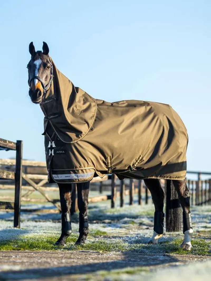 LeMieux Arika Ripstop 100g Turnout Rug in Alpine