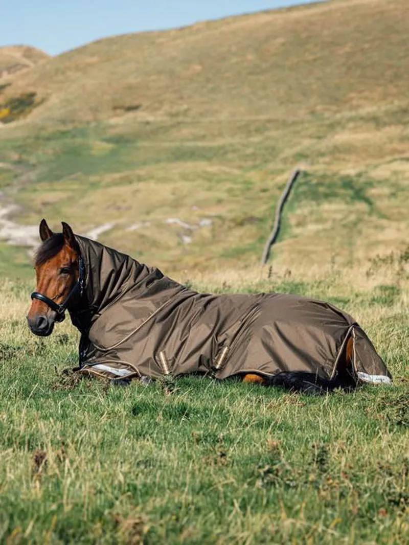 LeMieux Arika Ripstop 100g Turnout Rug in Alpine-2