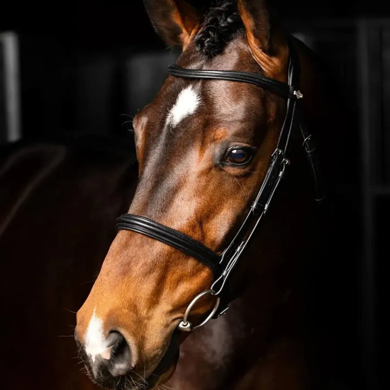 LeMieux Arika Cavesson Bridle - Black and Silver-2