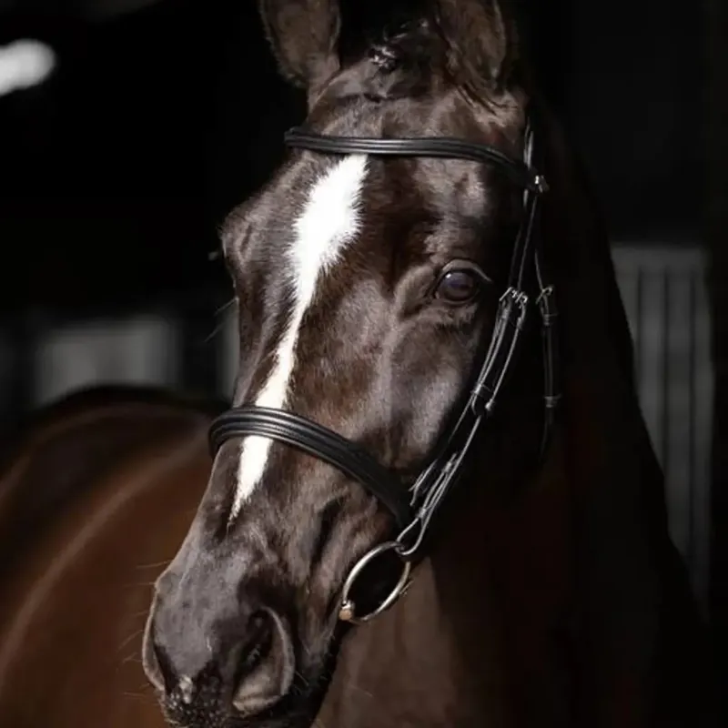LeMieux Arika Cavesson Bridle - Black and Silver-3
