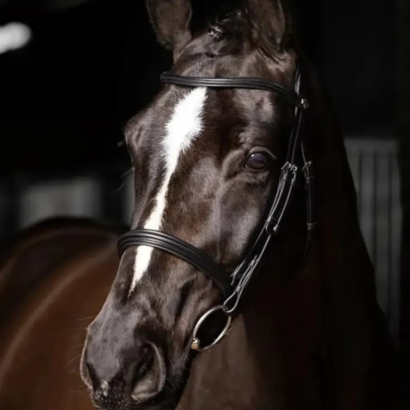 LeMieux Arika Cavesson Bridle - Black and Silver-2